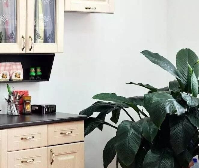 هتل Grand Novosibirsk