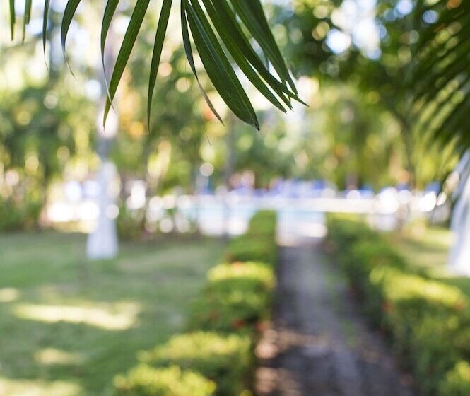 Отель Playa Junquillal Eco Resort