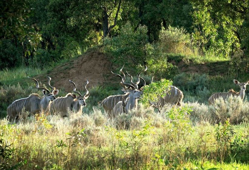 ホテル Woodlands Game Lodge