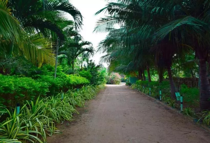 استراحتگاه Mithra Paradise Beach