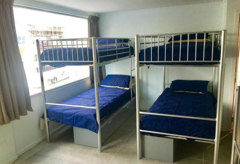 Schronisko Metro Adventurer Backpackers