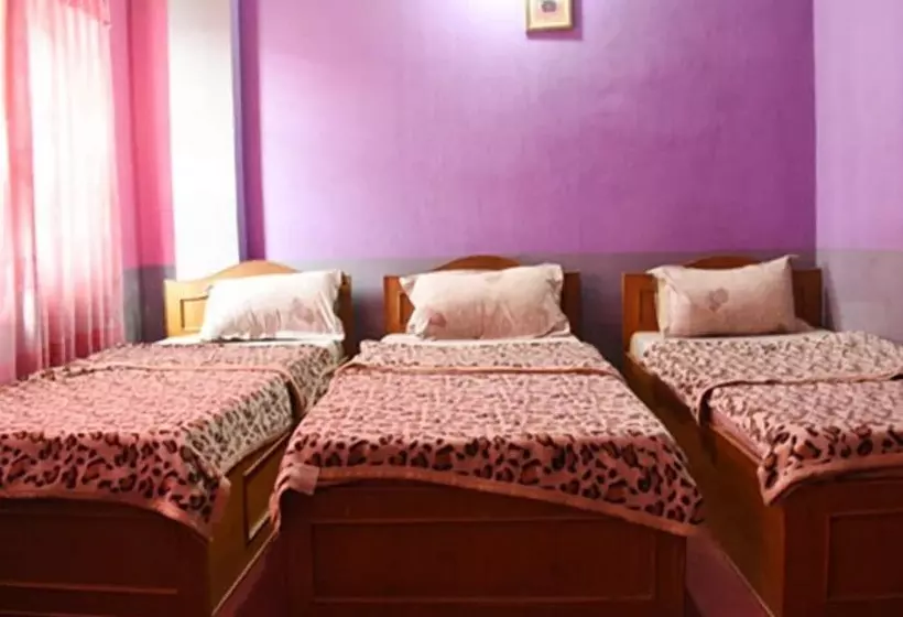 هتل Anmol Guest House