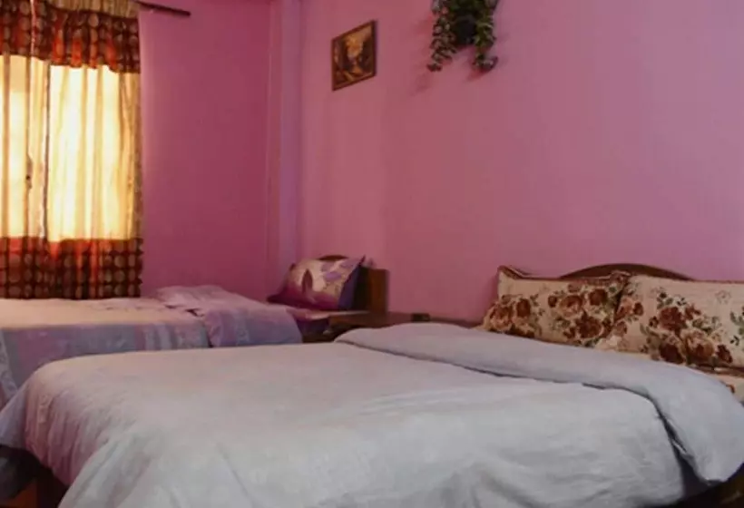 هتل Anmol Guest House