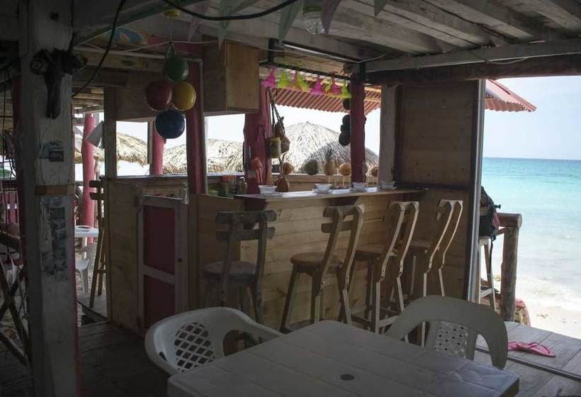 فندق Vivamos Acapulco Hostel