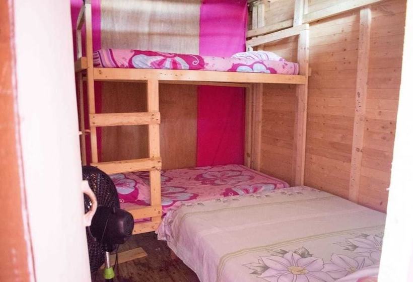 فندق Vivamos Acapulco Hostel