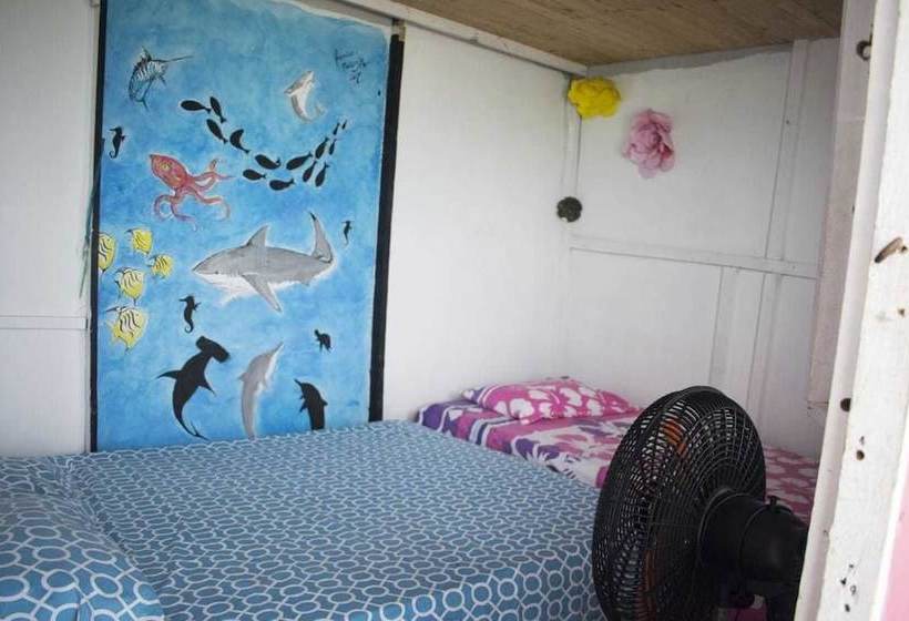 فندق Vivamos Acapulco Hostel