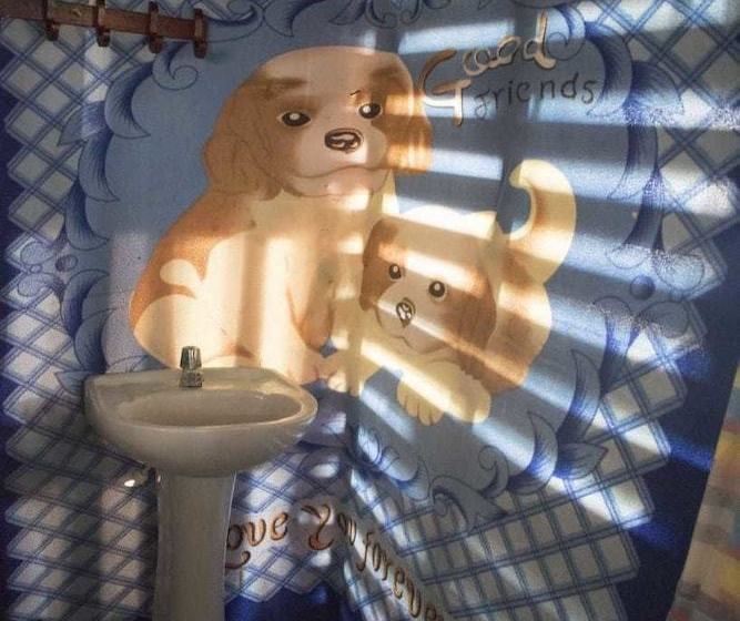 فندق Vivamos Acapulco Hostel