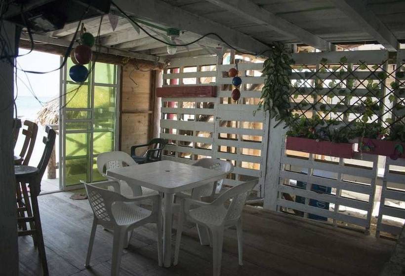 فندق Vivamos Acapulco Hostel