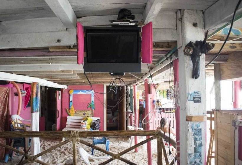 فندق Vivamos Acapulco Hostel