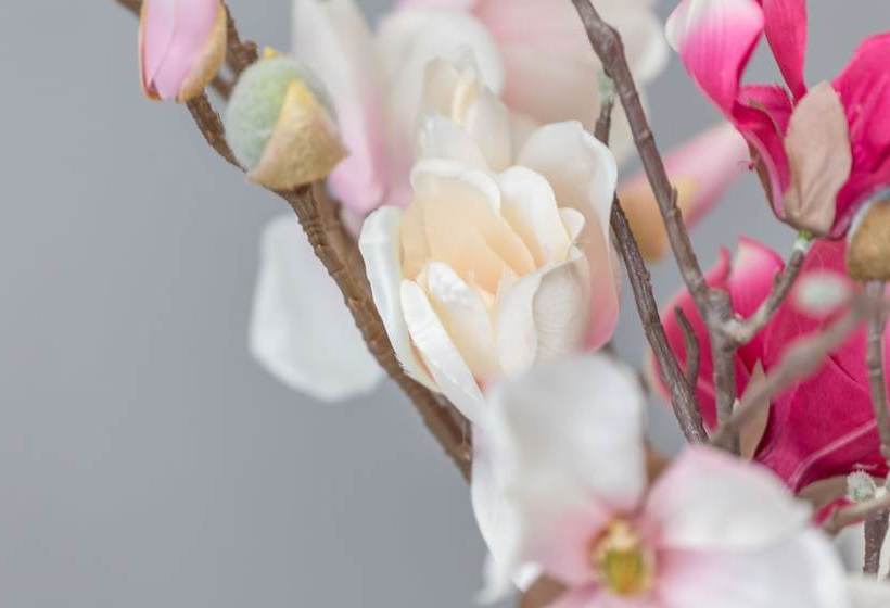 膳宿费 Apartments Gordana Jeličić