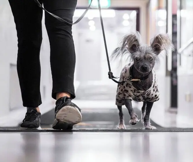 Comfort Hotel Sundsvall