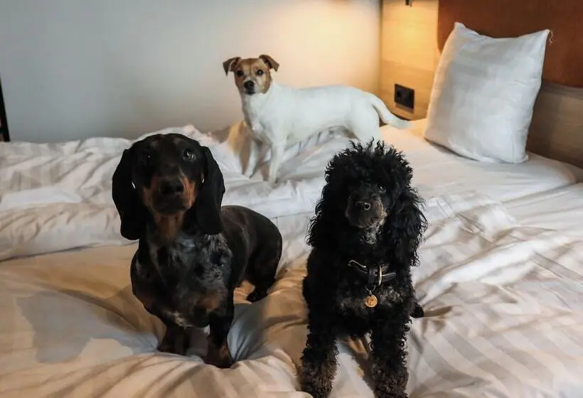 Comfort Hotel Sundsvall