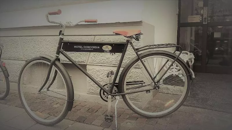 Отель Concordia