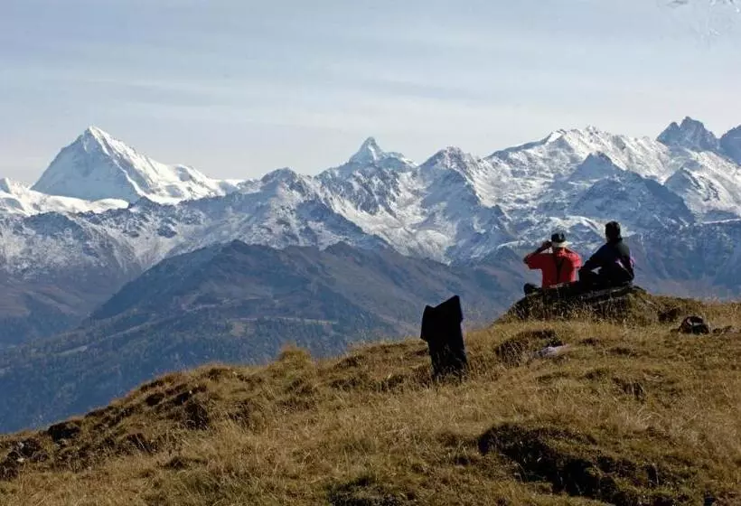 酒店 Des Bains D Ovronnaz