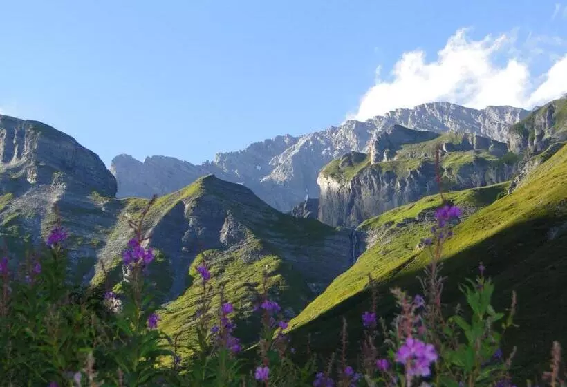 酒店 Des Bains D Ovronnaz