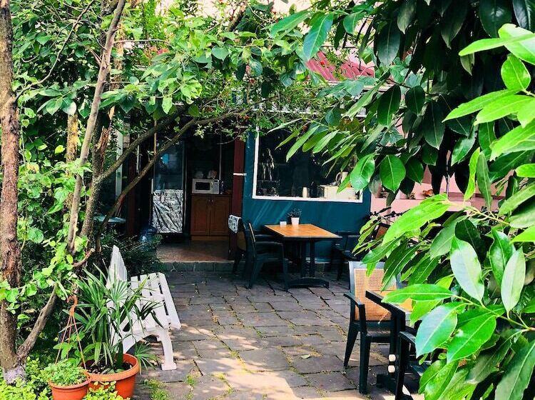 住宿加早餐  Abrikos