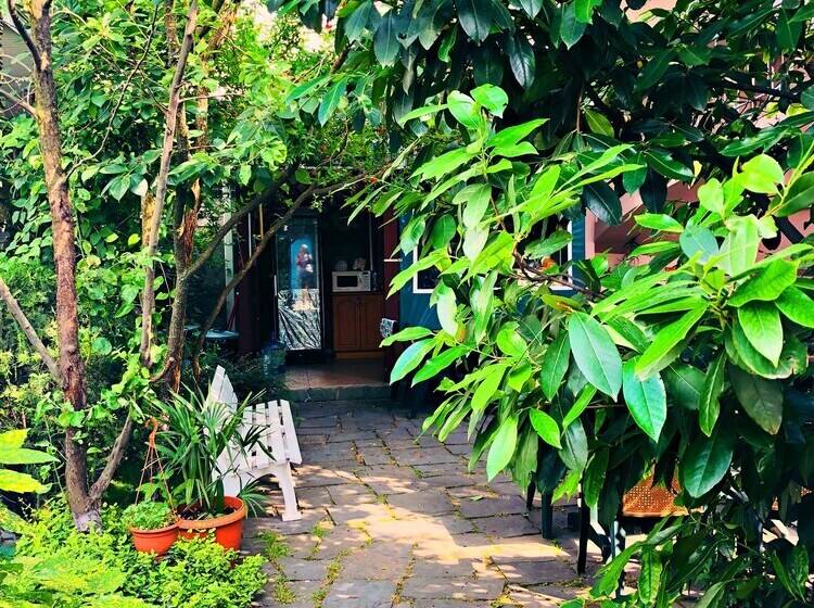 住宿加早餐  Abrikos