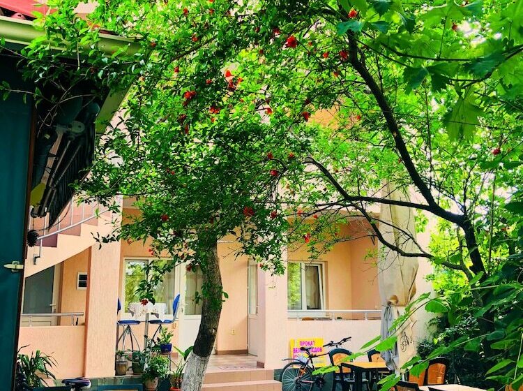 住宿加早餐  Abrikos