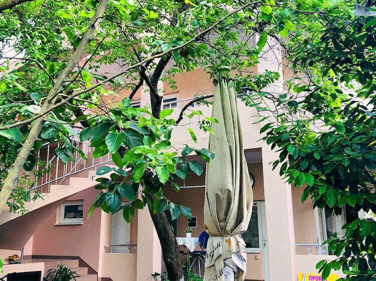 住宿加早餐  Abrikos