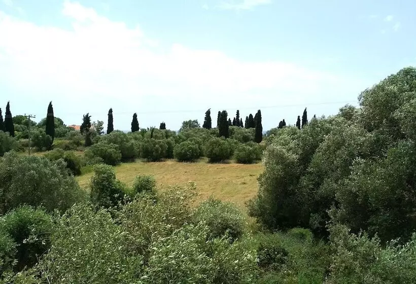 Casa De Rosa Apartments & Studios