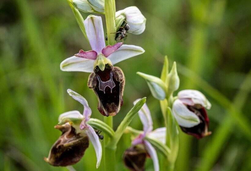 Ferienwohnung Shirin