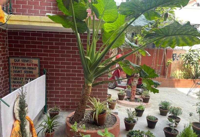 پانسیون Nirvana Green Peace Home