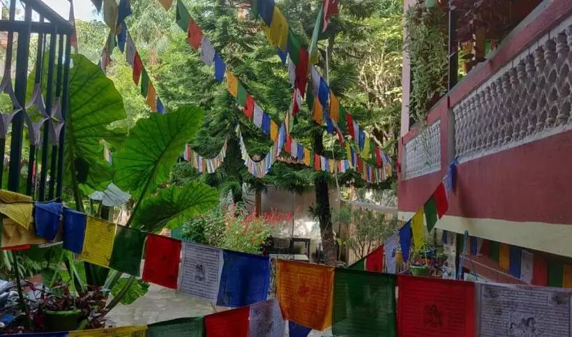 پانسیون Nirvana Green Peace Home