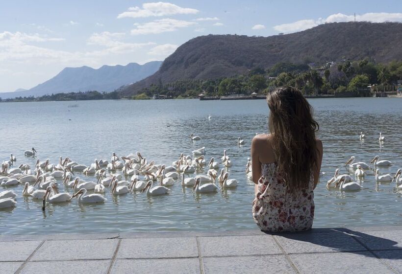 Villa 1927 Arthotel Boutique