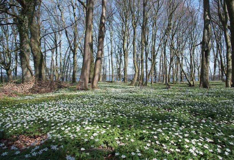 Bed and Breakfast Haus überland