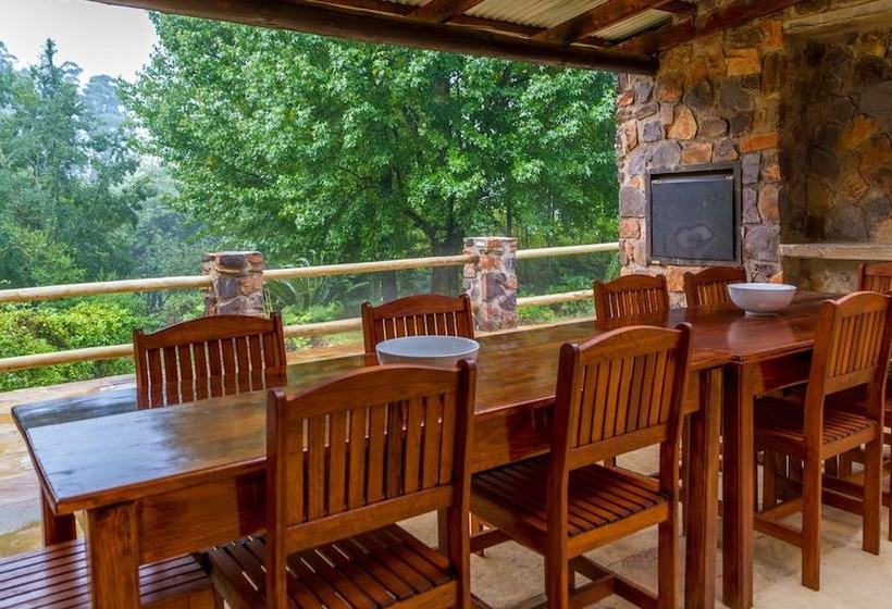 Hotel Misty Mountain