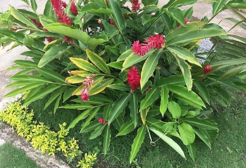 Bed and Breakfast Val De Liz