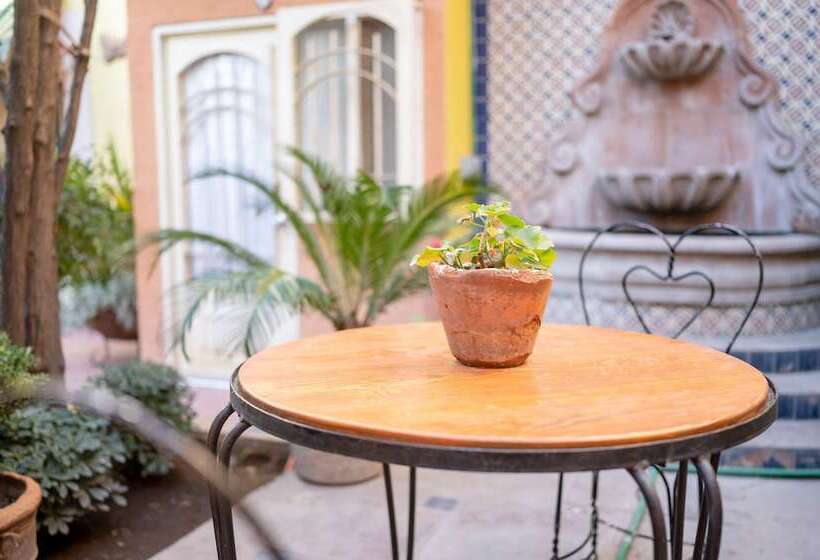 هتل Jardin Del Centro