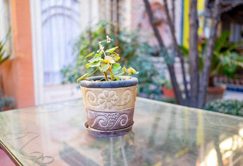 هتل Jardin Del Centro