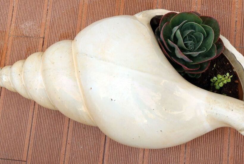 Sagres Sun Stay  Surf Camp & Hostel