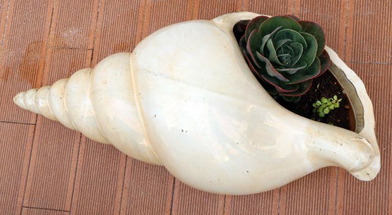 Sagres Sun Stay  Surf Camp & Hostel