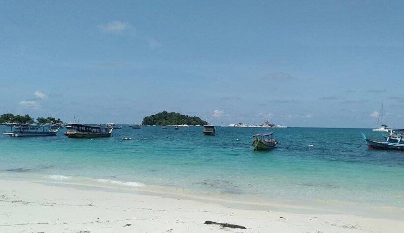 Bed and Breakfast Rock And Wreck Dive Resort