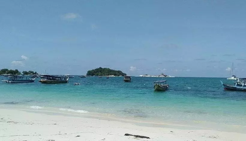 Aamiaismajoitus (B&B) Rock And Wreck Dive Resort