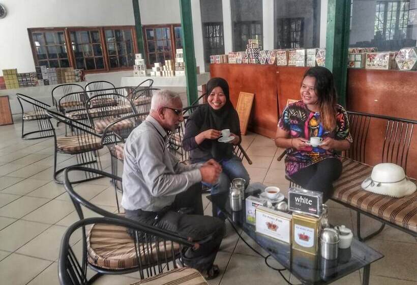 ホテル Green Garden Resort