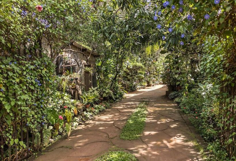 ホテル Green Garden Resort