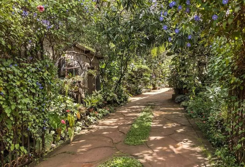 هتل Green Garden Resort