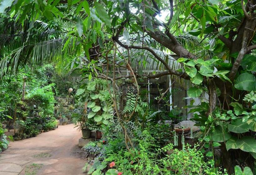 ホテル Green Garden Resort