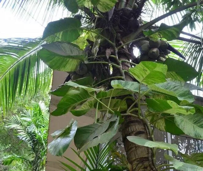 هتل Green Garden Resort