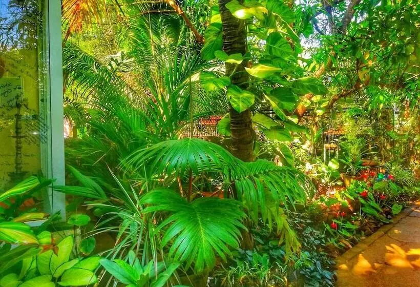 هتل Green Garden Resort
