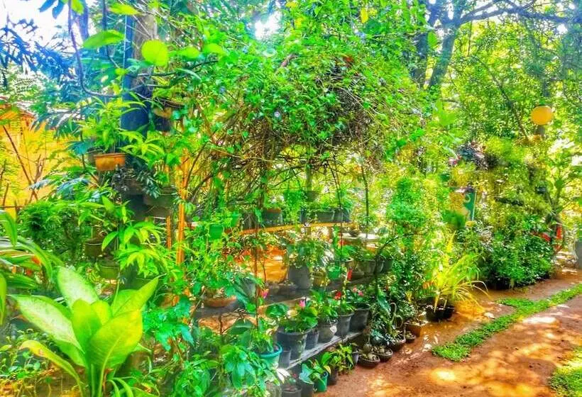 هتل Green Garden Resort