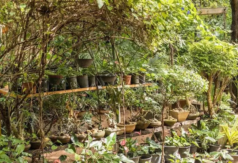 هتل Green Garden Resort