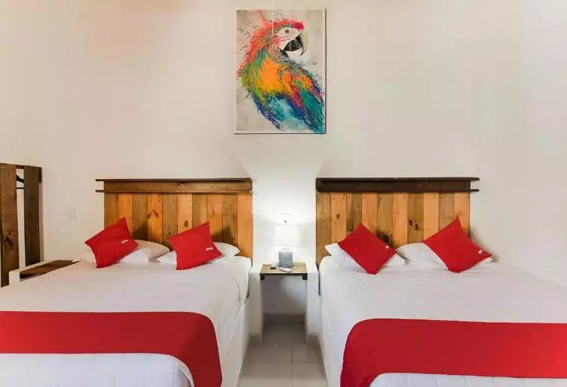 Hotel Jarro Cafe Tulum