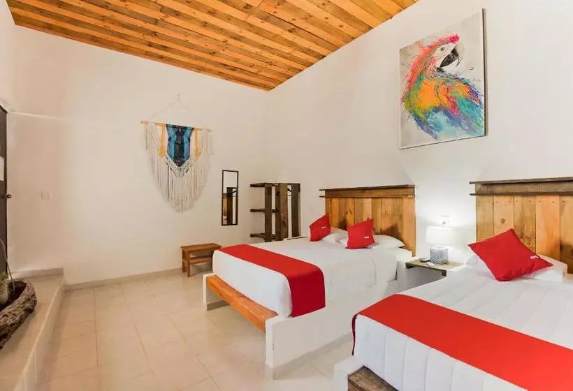 Hotel Jarro Cafe Tulum