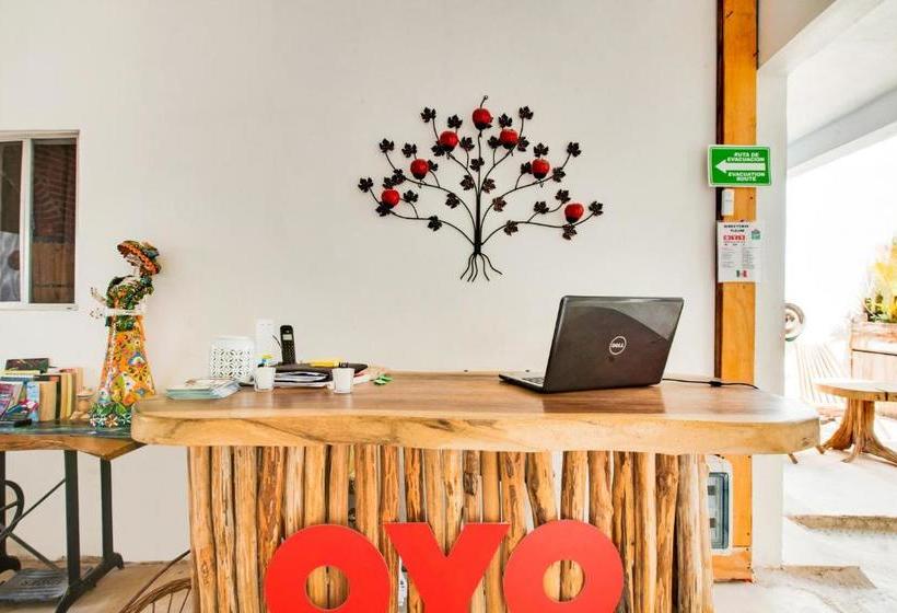 酒店 Jarro Cafe Tulum