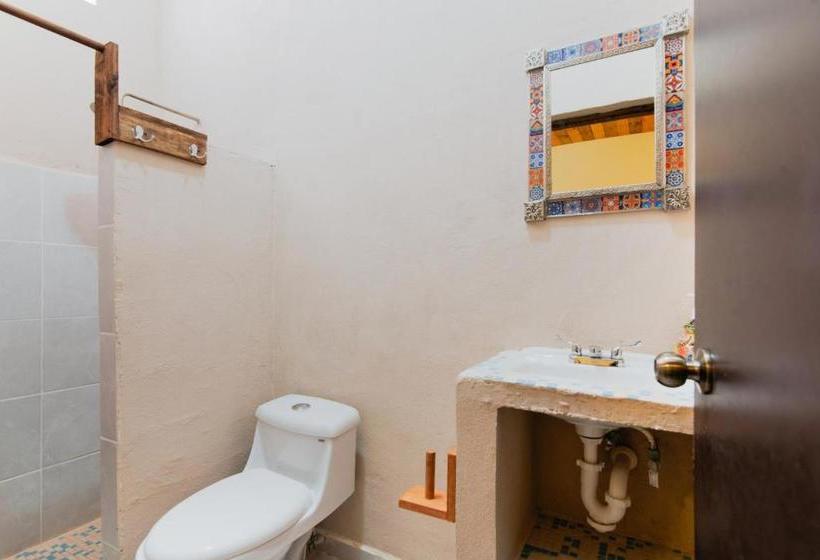 酒店 Jarro Cafe Tulum