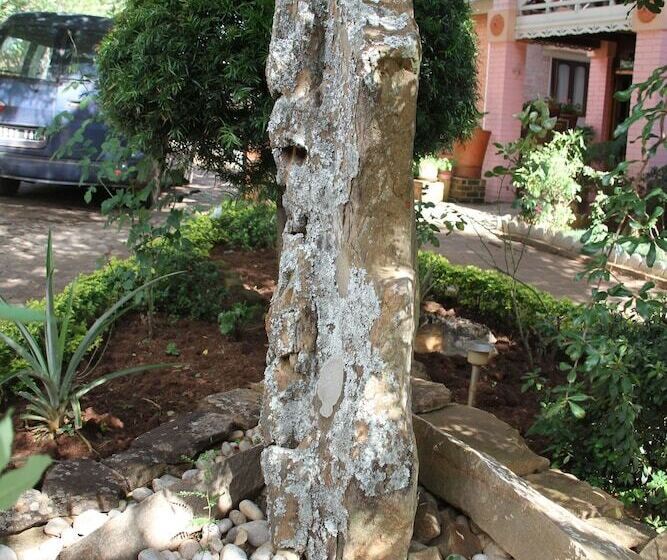 هتل Tsienimparihy